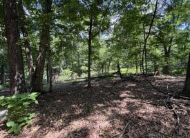 16 Rolling Acres Drive, Old Fields, WV 26845