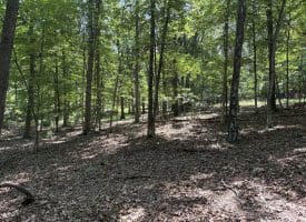 16 Rolling Acres Drive, Old Fields, WV 26845