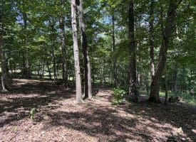 16 Rolling Acres Drive, Old Fields, WV 26845