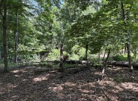 16 Rolling Acres Drive, Old Fields, WV 26845