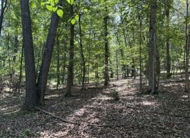 16 Rolling Acres Drive, Old Fields, WV 26845