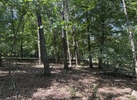16 Rolling Acres Drive, Old Fields, WV 26845