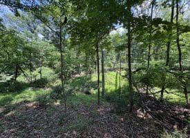 16 Rolling Acres Drive, Old Fields, WV 26845