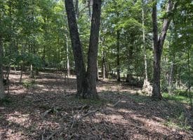 16 Rolling Acres Drive, Old Fields, WV 26845