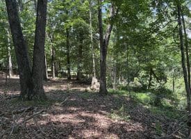 16 Rolling Acres Drive, Old Fields, WV 26845
