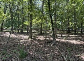 16 Rolling Acres Drive, Old Fields, WV 26845