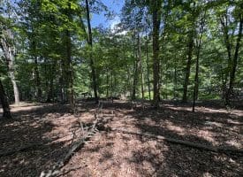 16 Rolling Acres Drive, Old Fields, WV 26845