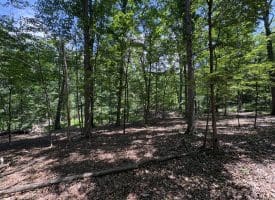 16 Rolling Acres Drive, Old Fields, WV 26845