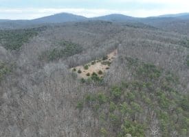 1489 PAINTER HOLLOW RD, FORT ASHBY WV 26719