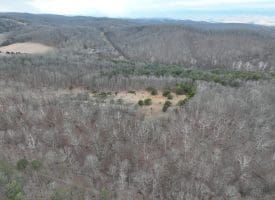 1489 PAINTER HOLLOW RD, FORT ASHBY WV 26719