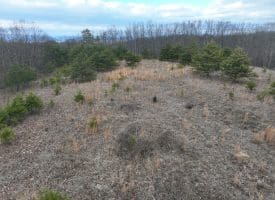 1489 PAINTER HOLLOW RD, FORT ASHBY WV 26719