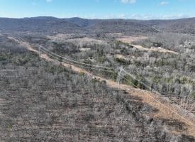 Lot 7 & 8 Hidden Ritters Valley, Capon Bridge, WV 26711