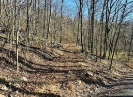 256 Lawyer Ln, Slanesville, WV  25444