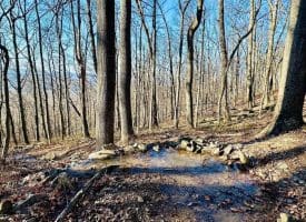 Lot 13 Sec 8 Lawyer Ln, Slanesville, WV  25444