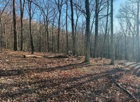 Lot 18 Sec 8 Butterfly Ln, Slanesville, WV 25444