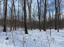 Lot 6 Pauls Woods Rd, Delray, WV 26714