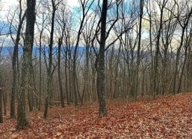 Lot 14 Sec 8 Lawyer Ln, Slanesville, WV  25444