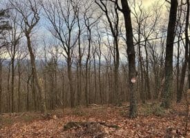 Lot 24 Sec 10 Lawyer Ln, Slanesville, WV 25444