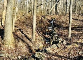 Lot 13 Sec 8 Lawyer Ln, Slanesville, WV  25444