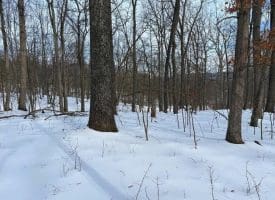 Lot 6 Pauls Woods Rd, Delray, WV 26714