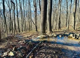 Lot 13 Sec 8 Lawyer Ln, Slanesville, WV  25444