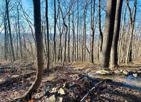 Lot 13 Sec 8 Lawyer Ln, Slanesville, WV  25444