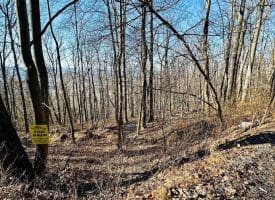 Lot 13 Sec 8 Lawyer Ln, Slanesville, WV  25444