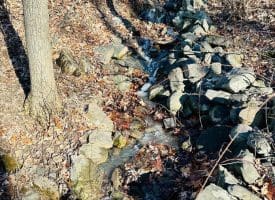 Lot 13 Sec 8 Lawyer Ln, Slanesville, WV  25444