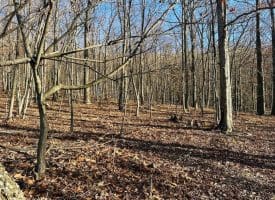 Lot 18 Sec 8 Butterfly Ln, Slanesville, WV 25444