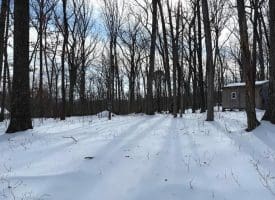 Lot 6 Pauls Woods Rd, Delray, WV 26714