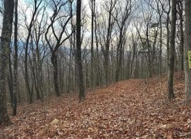 Lot 14 Sec 8 Lawyer Ln, Slanesville, WV  25444