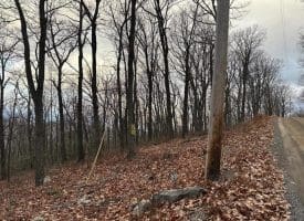 Lot 24 Sec 10 Lawyer Ln, Slanesville, WV 25444