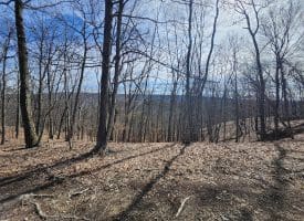 Lot 17 Top Drive, Romney, WV  26757