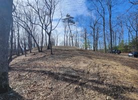 Lot 17 Top Drive, Romney, WV  26757