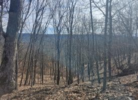 Lot 17 Top Drive, Romney, WV  26757