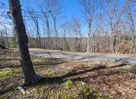 Lot 17 Top Drive, Romney, WV  26757