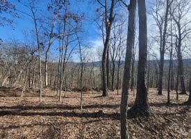 Lot 17 Top Drive, Romney, WV  26757