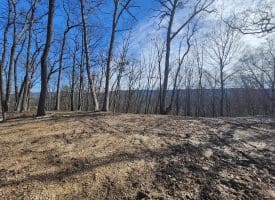 Lot 17 Top Drive, Romney, WV  26757