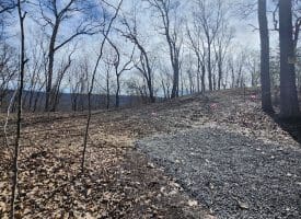 Lot 17 Top Drive, Romney, WV  26757