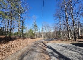 Lot 17 Top Drive, Romney, WV  26757