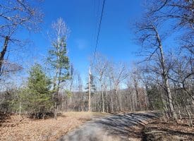 Lot 17 Top Drive, Romney, WV  26757