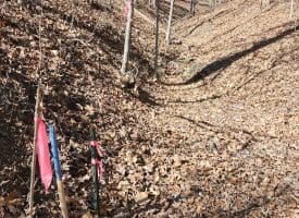 Lot 17 Top Drive, Romney, WV  26757