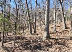 Lot 17 Top Drive, Romney, WV  26757