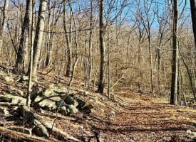 256 Lawyer Ln, Slanesville, WV  25444