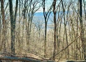 Lot 13 Sec 8 Lawyer Ln, Slanesville, WV  25444