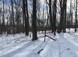 Lot 6 Pauls Woods Rd, Delray, WV 26714