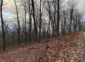 Lot 24 Sec 10 Lawyer Ln, Slanesville, WV 25444