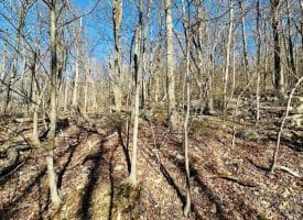 256 Lawyer Ln, Slanesville, WV  25444