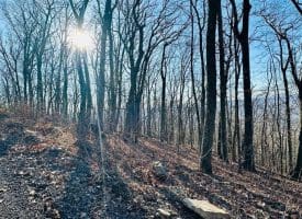 Lot 13 Sec 8 Lawyer Ln, Slanesville, WV  25444