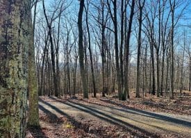 Lot 18 Sec 8 Butterfly Ln, Slanesville, WV 25444